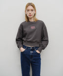 W SMALL CLASSIC LOGO CROP SWEATSHIRT IN MINT GREY image 12