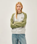 SMALL CLASSIC LOGO COLOR BLOCK SWEATSHIRT IN KHAKI image 1