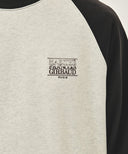 SMALL CLASSIC LOGO COLOR BLOCK SWEATSHIRT IN CHARCOAL GREY image 4