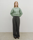 W SMALL CLASSIC LOGO CROP SWEATSHIRT IN MINT GREY image 5