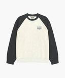 SMALL CLASSIC LOGO COLOR BLOCK SWEATSHIRT IN CHARCOAL GREY image 6