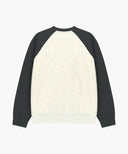 SMALL CLASSIC LOGO COLOR BLOCK SWEATSHIRT IN CHARCOAL GREY image 7