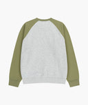 SMALL CLASSIC LOGO COLOR BLOCK SWEATSHIRT IN KHAKI image 7