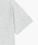 AEROCOOL LEMON CLASSIC LOGO TEE IN LIGHT HEATHER GREY image 10