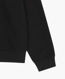 SMALL CLASSIC LOGO HALF ZIPUP SWEATSHIRT IN BLACK image 11