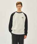 SMALL CLASSIC LOGO COLOR BLOCK SWEATSHIRT IN CHARCOAL GREY image 11